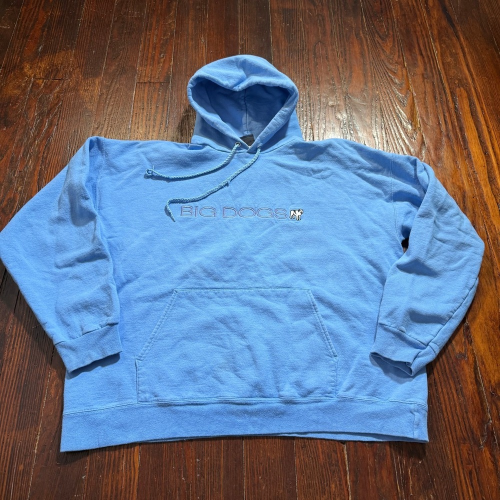 Vintage Big‎ Dogs Hoodie Mens Large Blue Spellout Y2K Sweatshirt Embroidered
